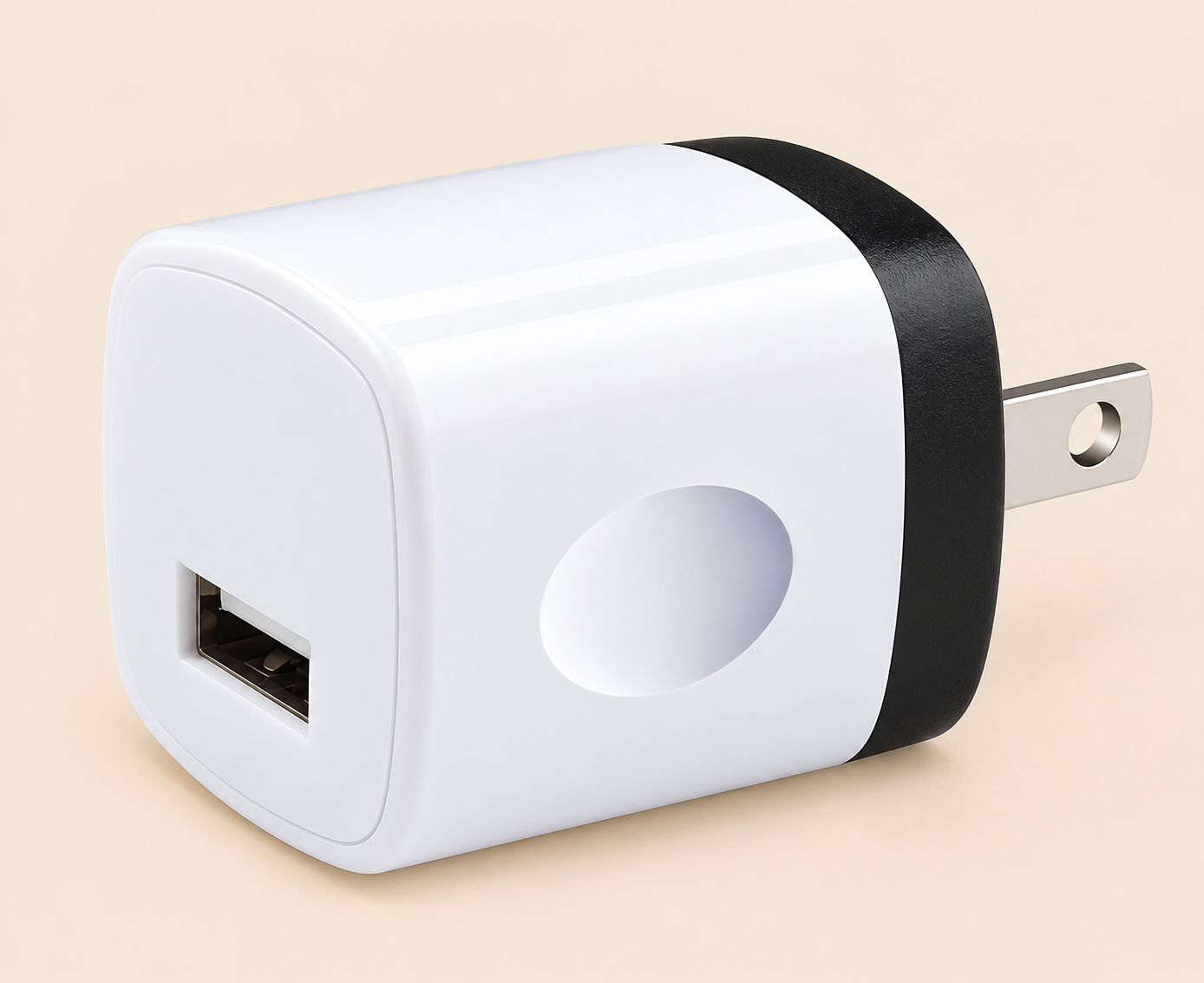 USB Wall Plug (US)